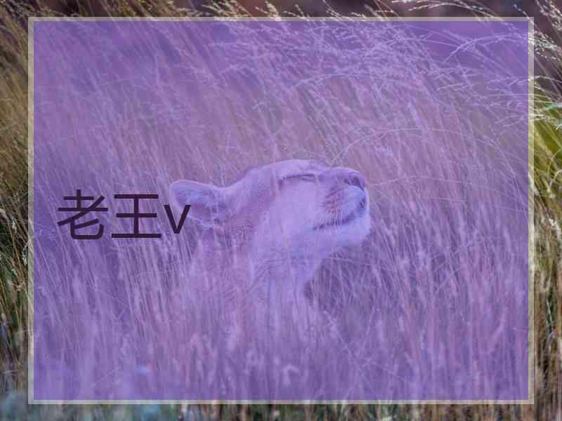 老王v